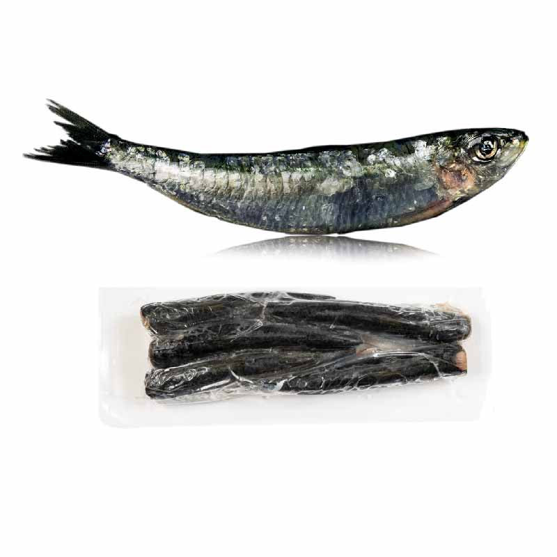 Sardine Fillet Frz (20G - 50G) - Cinq Degrés Ouest Sardine Fillet Frz (20G - 50G) - Cinq Degrés Ouest