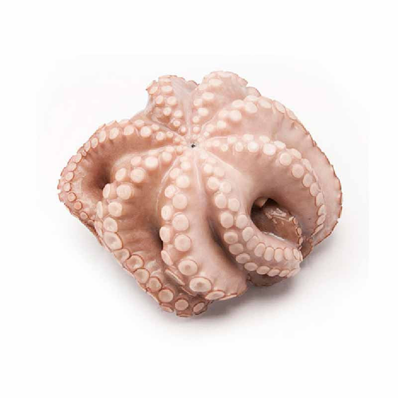 Whole Octopus Frozen (~5.5kg) - Palamos