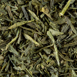 Sencha Tensu Japan (1kg) - Green Tea - Dammann Frères