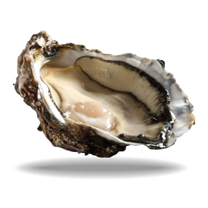 Black Pearl N3 24pc Oysters Brittany (2kg) - Cadoret