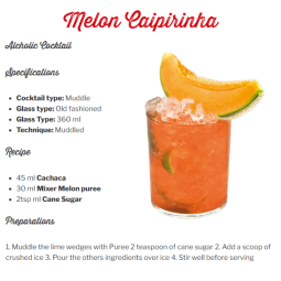 Concentrate Puree Melon (1L) - Mixer