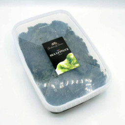 Wild Sea Lettuce (1Kg) - Le Tennier