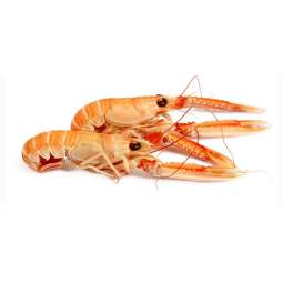 Langoustine 2/4 Danemark Frz (0.8Kg) - Fresh Pack