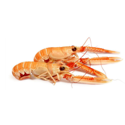 Langoustine Frz 12-15 (1.35kg) - Palamos