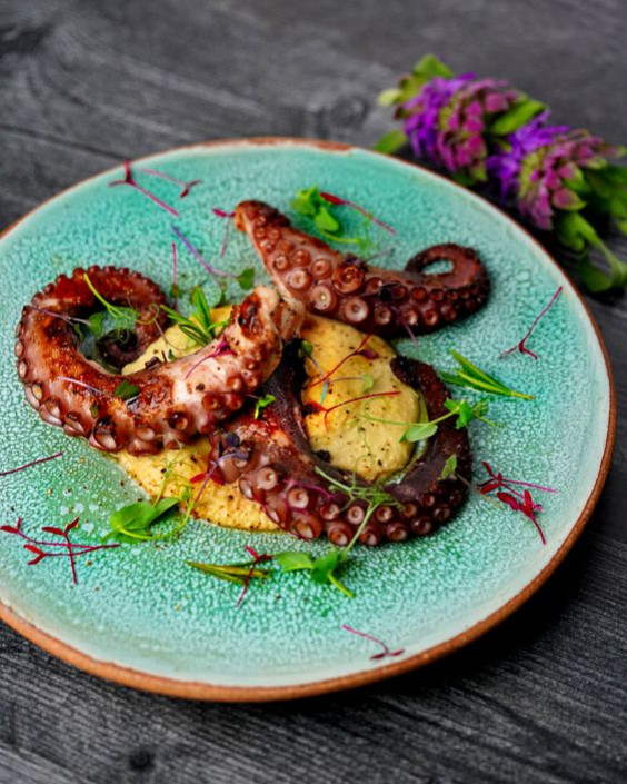 Grilled Octopus with Saffron Aïoli Recipe