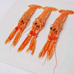 Langoustine 4/7 Denmark Frz (0.8kg) - Fresh Pack