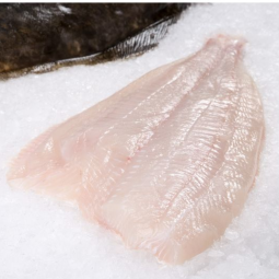 Frozen Farmed Turbot Fillet (250-300g) (~1kg) - Palamos