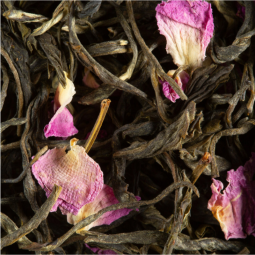 Passion De Fleurs (500g) - White Tea - Dammann Frères