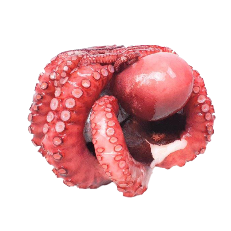 Bạch tuộc Nhật - Common Boiled Octopus Frz (~1Kg) - Sanriku